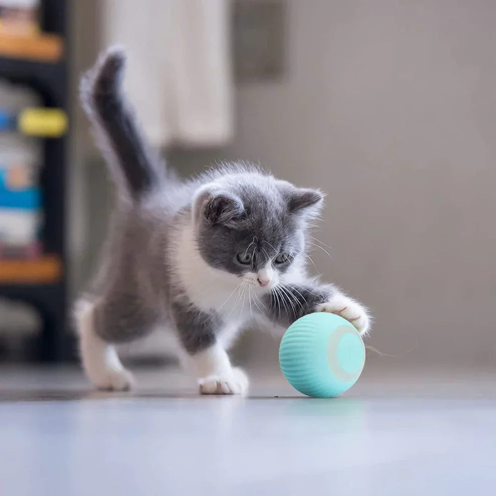 Interaktiv Kattsboll 2.0